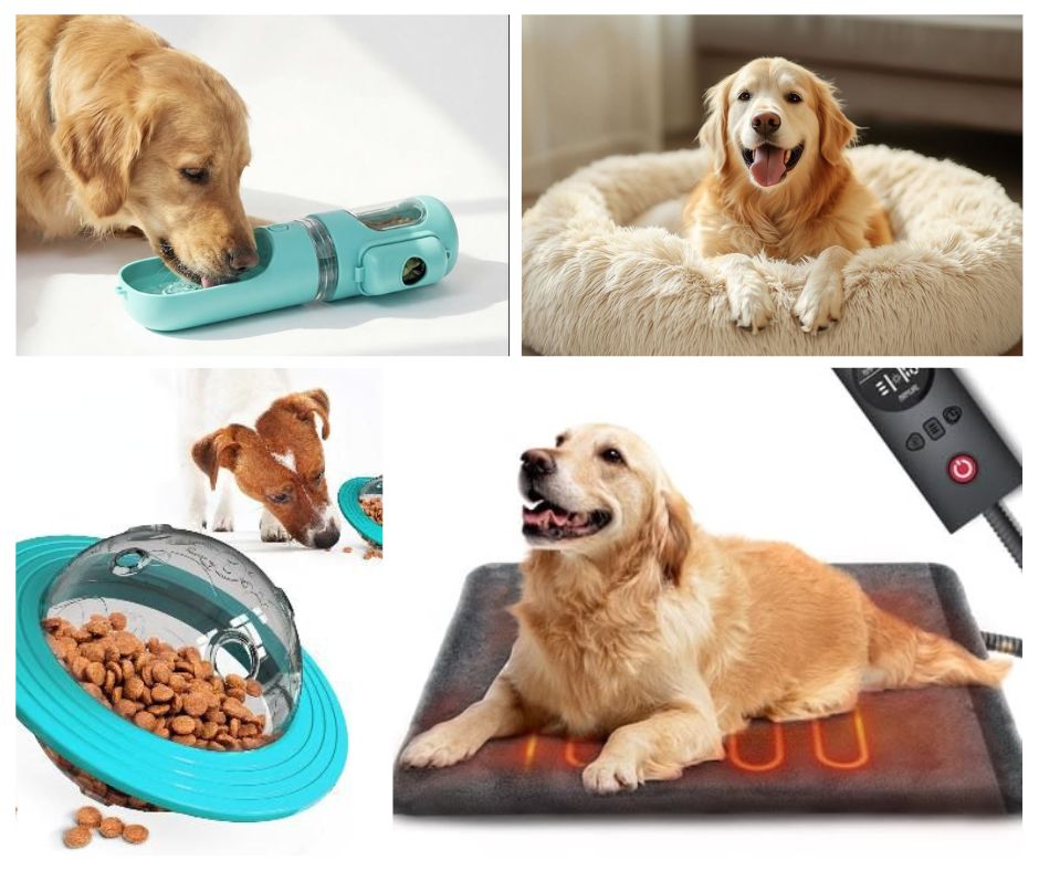 Pet Comfort, Safety & Lifestyle Accessories