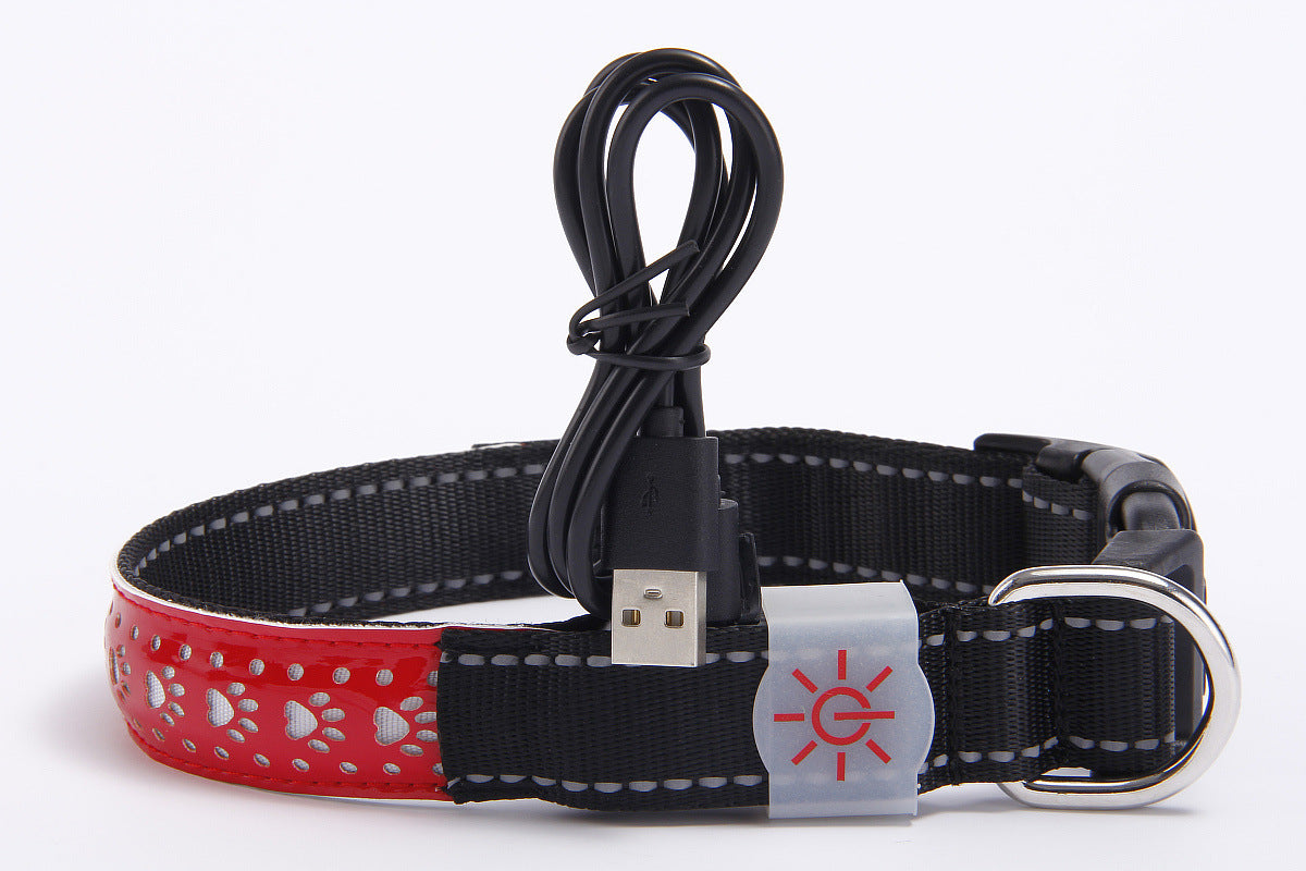 LED Pet Collar