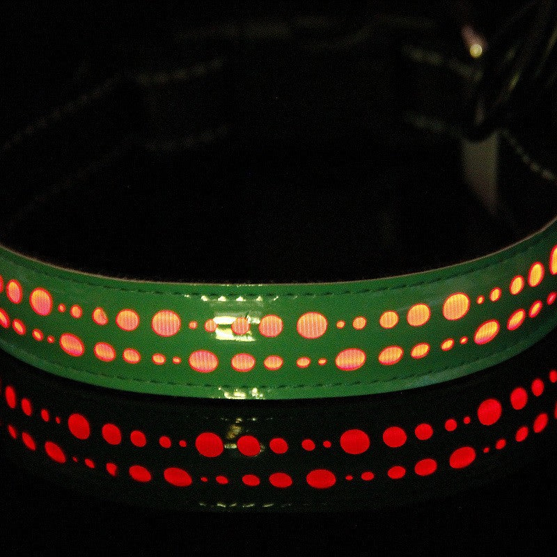 LED Pet Collar