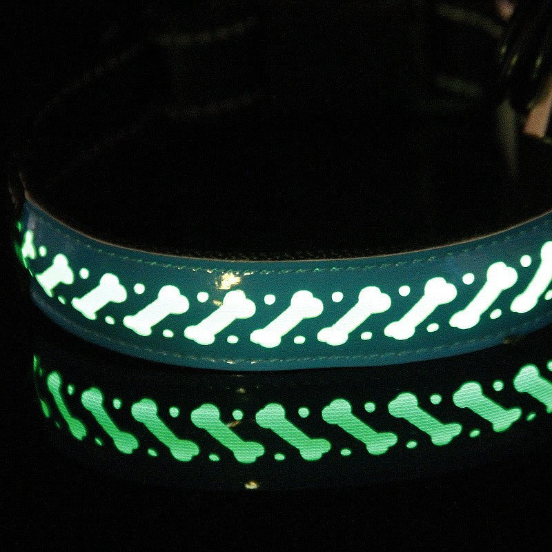 LED Pet Collar