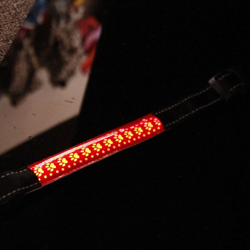 LED Pet Collar