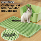 Cat Litter Mat