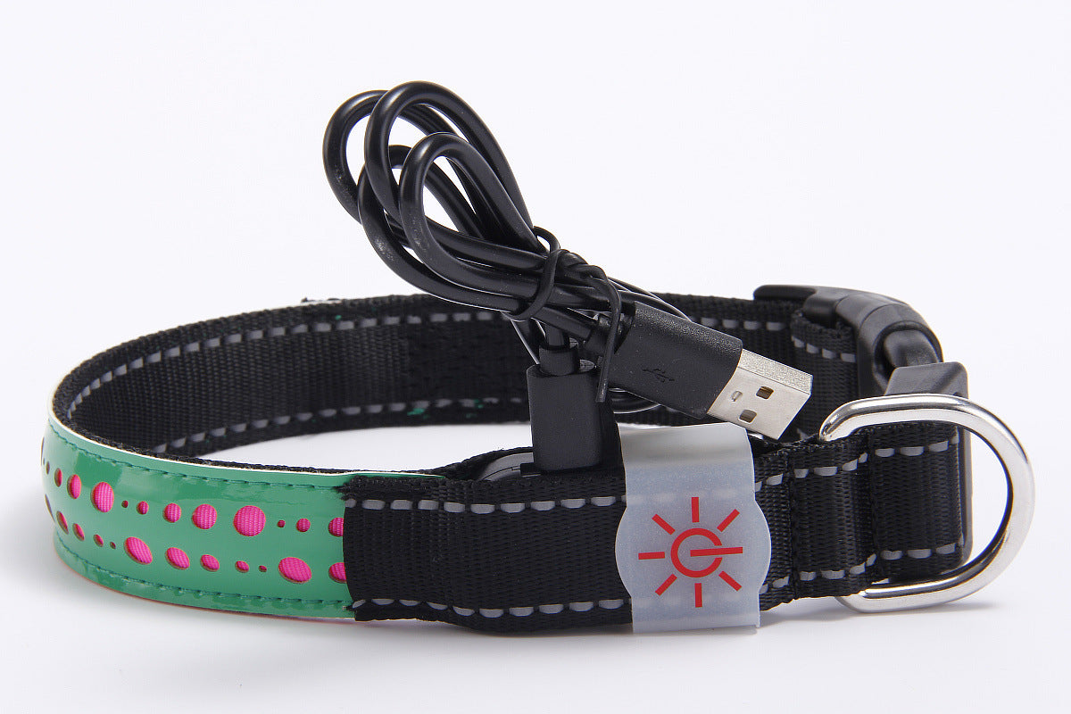 LED Pet Collar